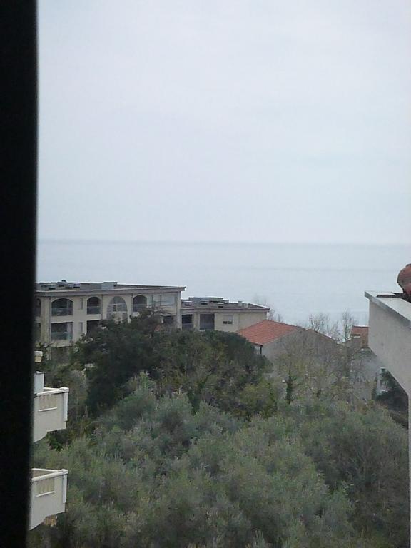 Apartman Ozi Petrovac na moru Exterior foto